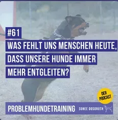 Podcast: Im Interview mit Manuela Keßler
