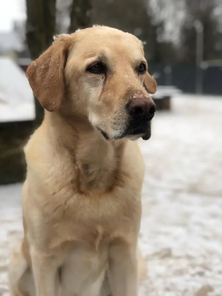 Hunter