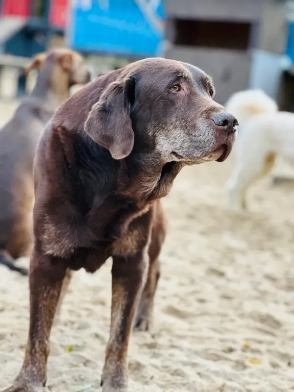 Max