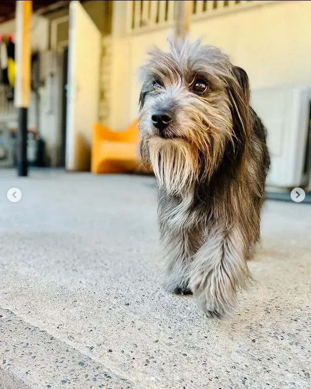 Sam
