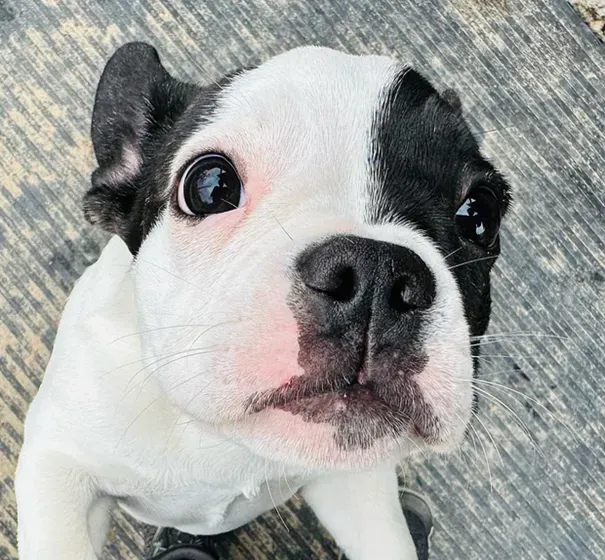 Wanda